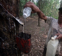 Ekonomi Cina Bikin Investor Khawatir, Harga Karet Anjlok