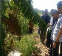 Warga Gresik Geger, Ada Sosok Mayat Wanita Dibakar Di Parit Sawah