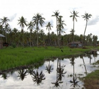PU Lanjutkan Paket 10 Pembangunan Jalan Kuala Kampar