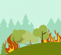 Polisi baru tangkap 8 pembakar hutan dari 98 kasus kebakaran di Riau