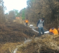 Kerja Keras Petugas Padamkan Kebakaran 40 Hektar Lahan Dibantu Hujan Deras