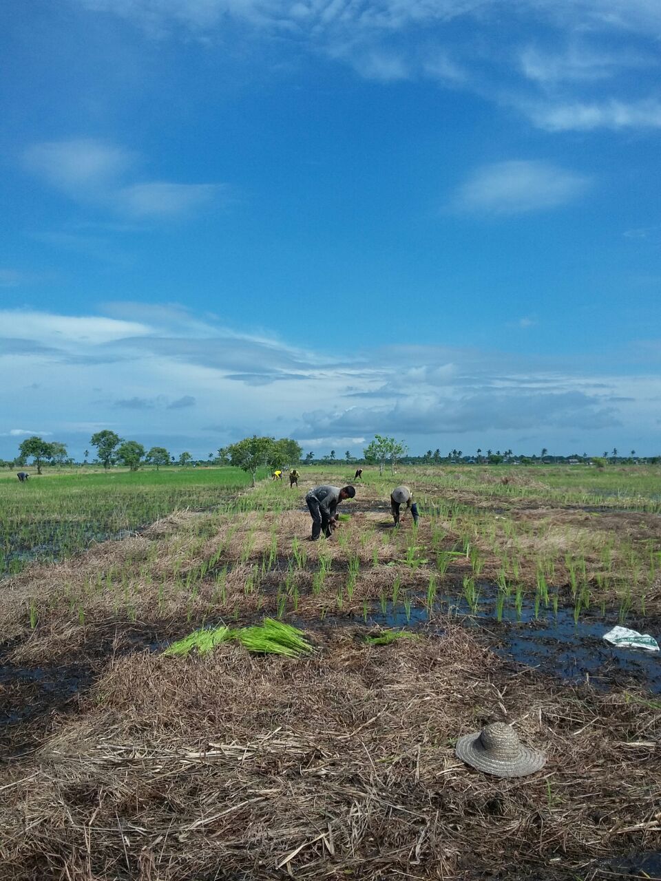 1515338006-Penyalai News-IMG-20180107-WA0007