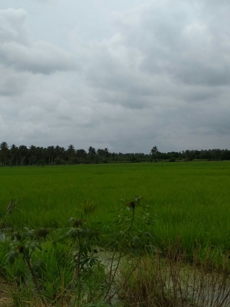 1515338024-Penyalai News-IMG-20180107-WA0008 (2)