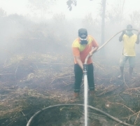 Kebakaran hutan dan lahan  di Kuala Kampar, Camat Kuala Kampar ikut Berjibaku padamkan api 