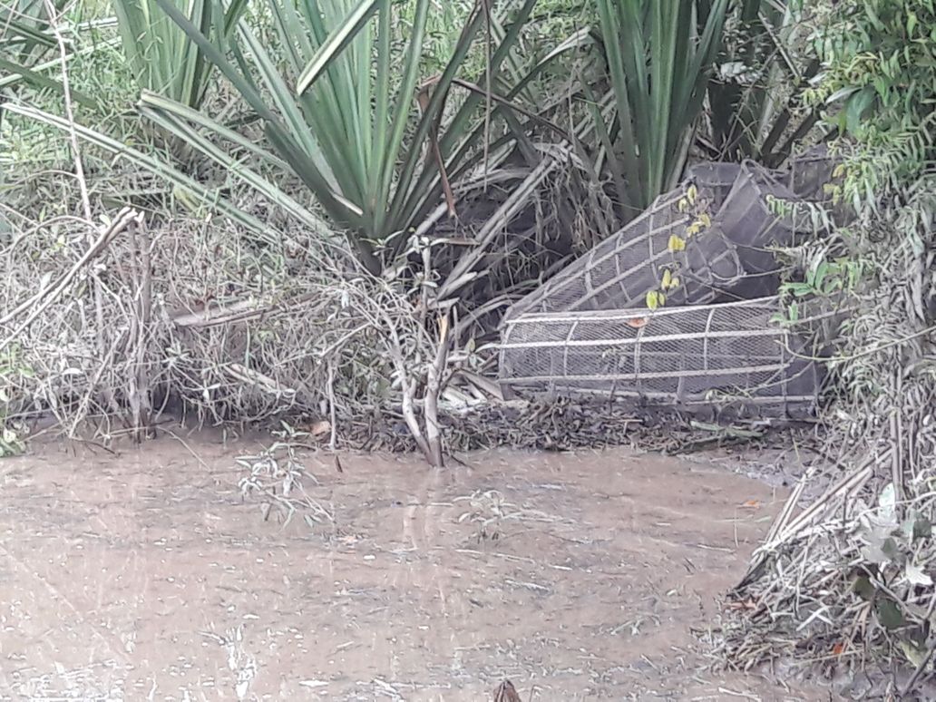 Kondisi Sungai Napuh di desa Pesaguan yang telah di cuci oleh PT Musimmas