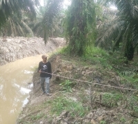 PT Gandahera Hendana di duga Lakukan Perusakan Sungai Di Ukui II