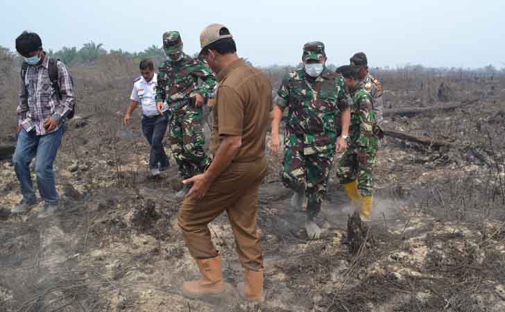 Pemerintah Kabupaten Rohil Antisipasi Terjadinya Kebakaran Lahan dan Hutan Bupati Suyatno saat meninjau Lahan yang terbakar di Kabupaten Rokan Hilir