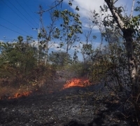 Puluhan Hektare Lahan di Bengkalis Terbakar, Sebagian Sudah Padam