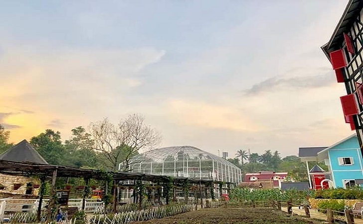 1558198984-Penyalai News-Asia-Farm
