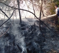 Lahan Terbakar di Langgam Telah Padam, Tim Masih Melakukan Pendinginan