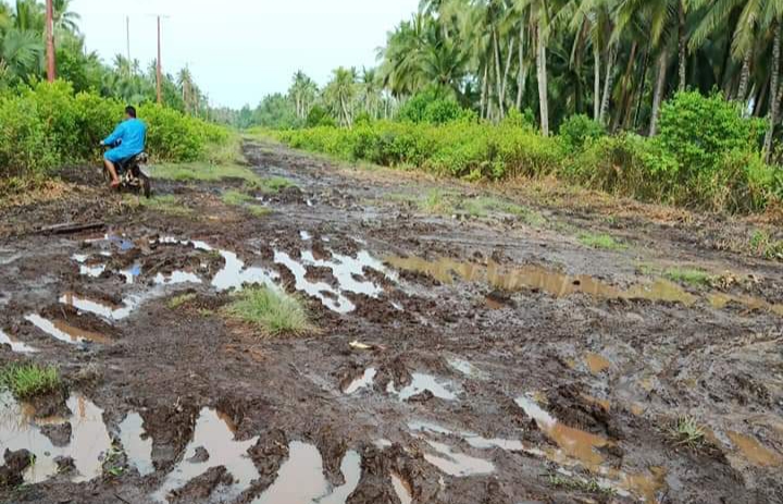 Kondisi jalan Lintas Bono terkini sangat memperihatinkan 