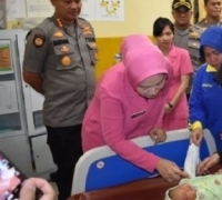 Cuma Modal Kardus, Bayi Dibuang Orang Tua di Halaman Warga di Pekanbaru