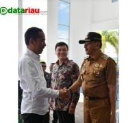 Dikantor, Bupati Natuna Sambut Kedatangan Presiden