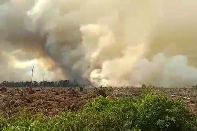 Sumber Gambar Kompas.com (Karhutla Riau)