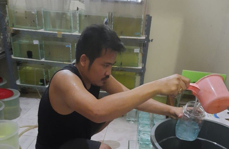Budi Simanjuntak, SH
