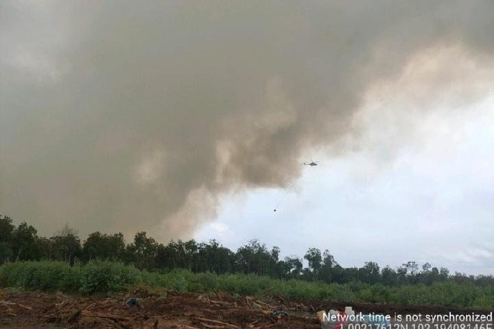 Waspada, Titik-titik Api Mulai Jadi Ancaman di Wilayah Sumatera Kebakaran lahan di Kampung Bunsur Siak, Riau. (ANTARA/HO-Sinarmas via TEMPO.CO)