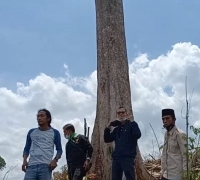 Berang ke PT AA di Lokasi Kepungan Sialang, LAMR: Mereka Berusaha Adu Domba, Viralkan!