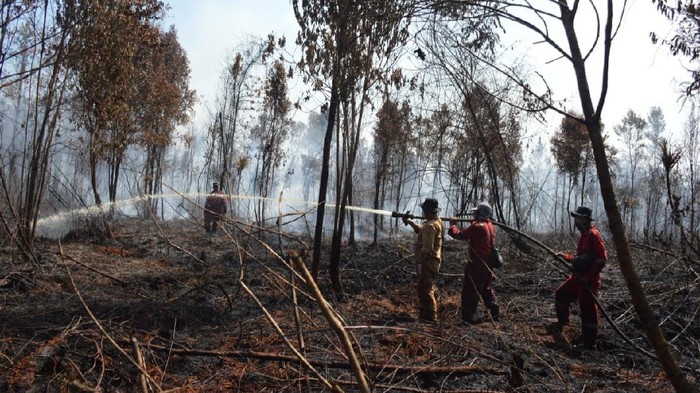 Siaga Karhutla, Gubernur Riau Minta 7 Daerah Ini Lakukan Pencegahan Dini ISTIMEWA