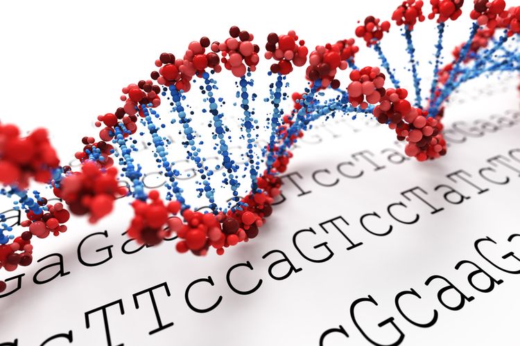 Ilustrasi pengurutan genom (genome sequencing) virus corona. Ilmuwan Australia mengembangkan teknologi pengurutan genom yang lebih cepat melacak Covid-19.(SHUTTERSTOCK/Leigh Prather/Kompas.com)