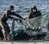 Diduga Langgar Batas Perairan, Malaysia Tahan 5 Nelayan Indonesia