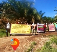 15 Tahun Di Zalimi Mafia Tanah, Kelompok Tani Mandiri Perjuangkan Lahan 300 Hektar di Pelalawan 