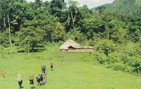 Foto Dok. Istimewa Internet ( Berbagai Sumber ) 