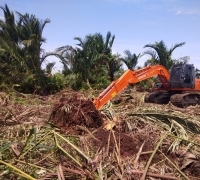 HGU Sawit PT.TUM Di Pulau Mendol Mengundang Prahara Ekologis Dan Konflik Sosial Atas Lahan 