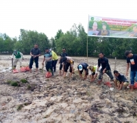 LM2R Rasbar Lakukan Penangkaran dan penanaman Mangrove