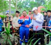 Perkuat Ketahanan Pangan, Pertagas Hadirkan Program Budidaya Ikan Gurami di Dumai