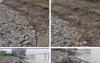 Kecewa Terhadap Pembangunan Tebing Pantai Di Kuala Kampar, AMPP Akan Gelar Aksi