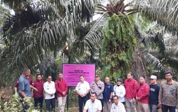 Kejaksaan Agung Sita Eksekusi Tanah Bangunan dan Kebun Sawit di Kalimantan Barat 