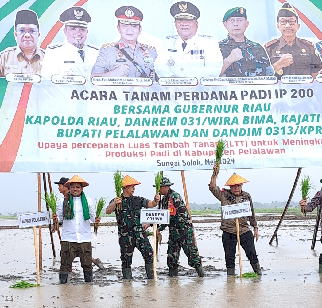 Bupati Pelalawan H Zukri, SE Bersama Forkompinda Laksanakan Penanaman Padi Serentak IP200 di Kuala Kampar