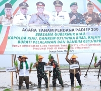 Bupati Pelalawan H Zukri, SE Bersama Forkompinda Laksanakan Penanaman Padi Serentak IP200 di Kuala Kampar 