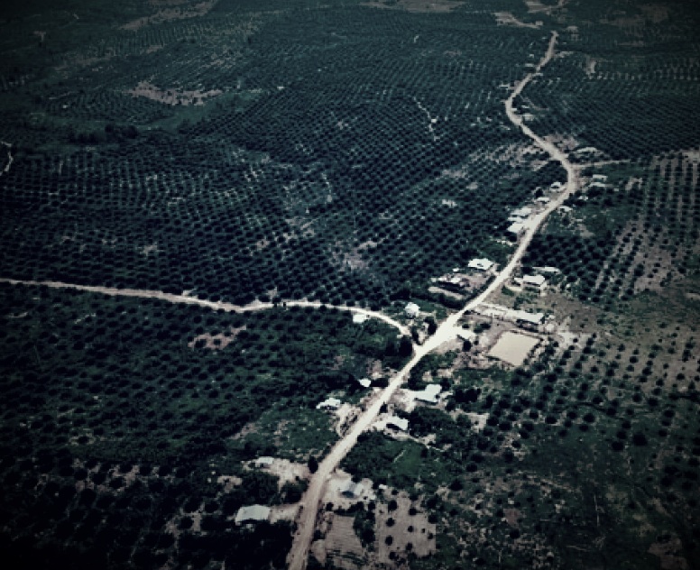 Foto Dok Istimewa (ANTARA) 