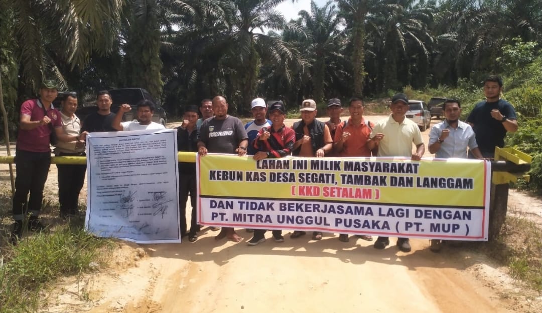 Geram, Masyarakat 3 Desa di Kecamatan Langgam Kembali Duduki Lahannya, Ancam Batalkan Kerja Sama Dengan PT MUP