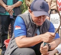 Walikota dan Wawako Pekanbaru Ikut Tanam 1.000 Pohon Hijaukan Sport Center Kulim